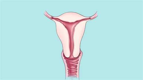 孕早期胎心胎芽依旧存在，囊肿问题如何解决？胎停风险与孕早期囊肿的关系