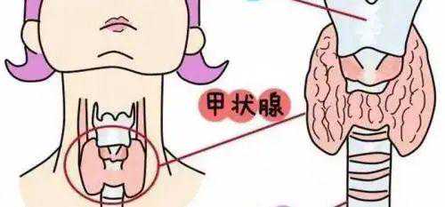 上海助孕机构排名榜最新_上海知名助孕公司